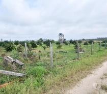 Terreno com 2.010,25 m² no Riachinho - JaguarunaSC