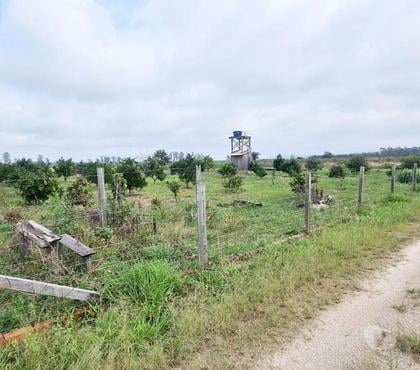 Terrenos - Fotos para Terreno com 2.010,25 m² no Riachinho - JaguarunaSC