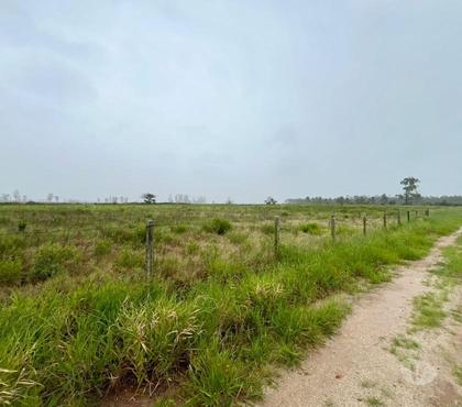 Terrenos - Fotos para Terreno com 1.395,00 m² no Riachinho - JaguarunaSC