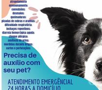 Atendimento domiciliar pet
