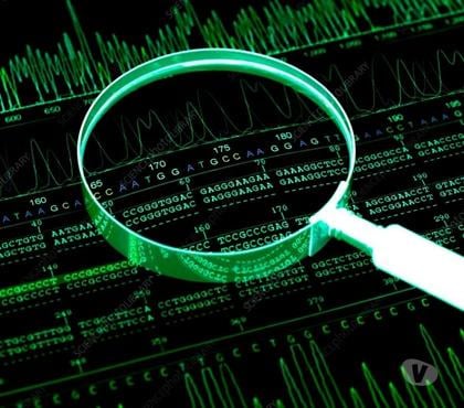 Profissionais liberais - Fotos para Detetive Particular