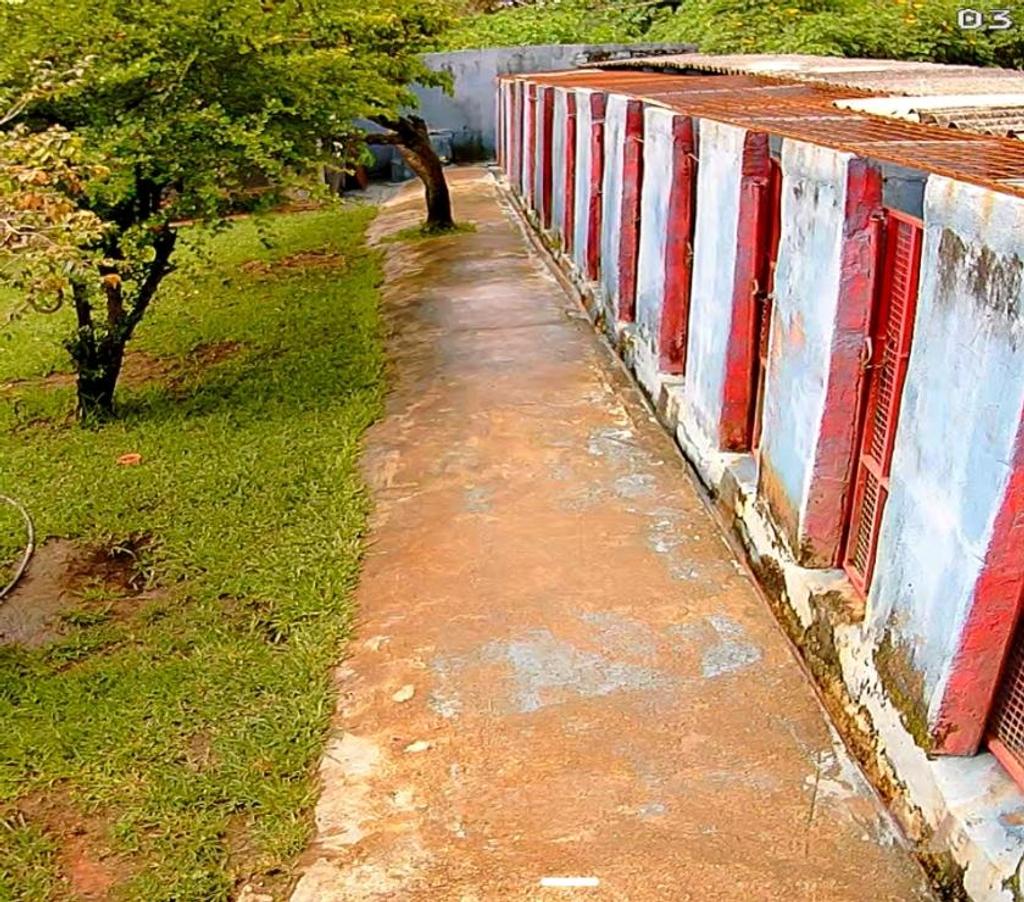 Veterinários - Serviços - Acessórios Cruzeiro DF - Fotos para Hotel Para Cães e Gatos GAMA DF