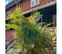 CASA PETRÓPOLIS CONDOM. SIMÉRIA PRÓX.PALÁCIO QUITANDINHA