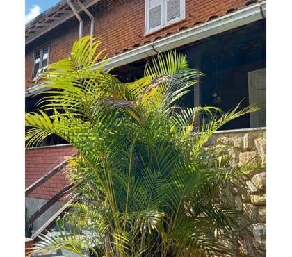 Casas a venda - Fotos para CASA PETRÓPOLIS CONDOM. SIMÉRIA PRÓX.PALÁCIO QUITANDINHA