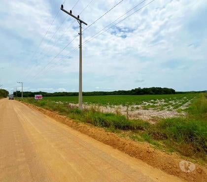 Lotes a venda - Fotos para Terreno no Laranjal - JaguarunaSC