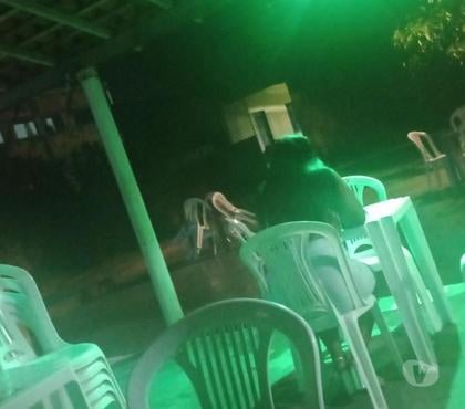 Acompanhantes - images_alt_text Acompanhantes de luxo...