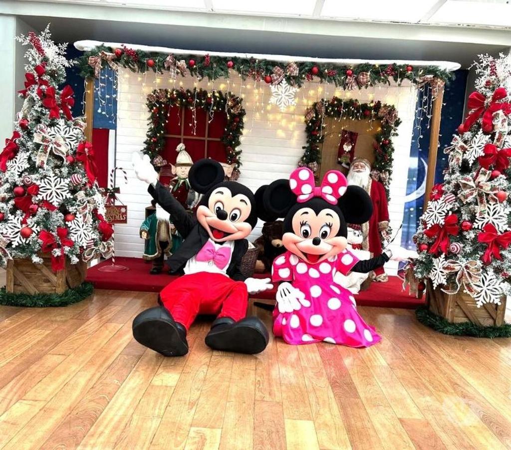 Serviços para eventos Sao Paulo SP Penha, São Paulo - Fotos para Minnie Rosa personagem vivo cover Festa