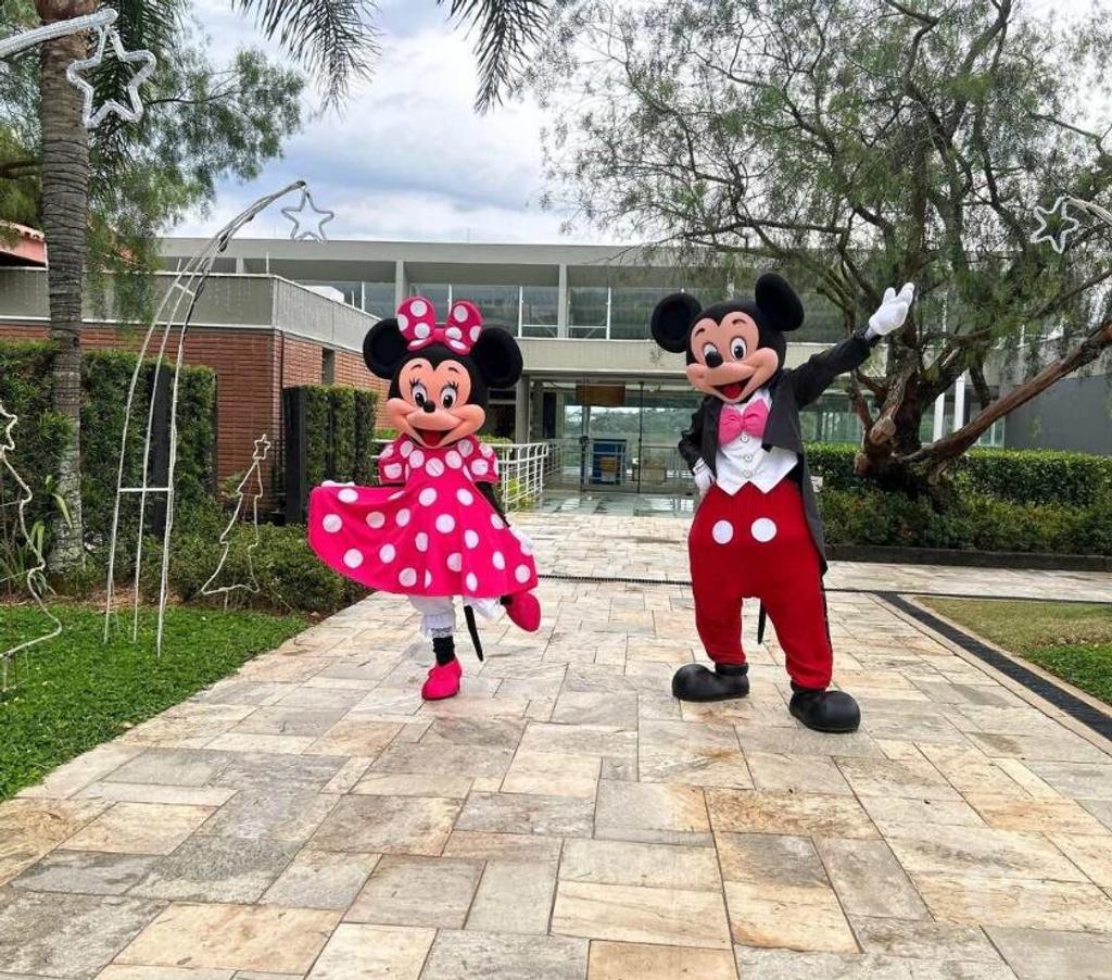 Serviços para eventos Sao Paulo SP Penha, São Paulo - Fotos para Minnie Rosa personagem vivo cover Festa