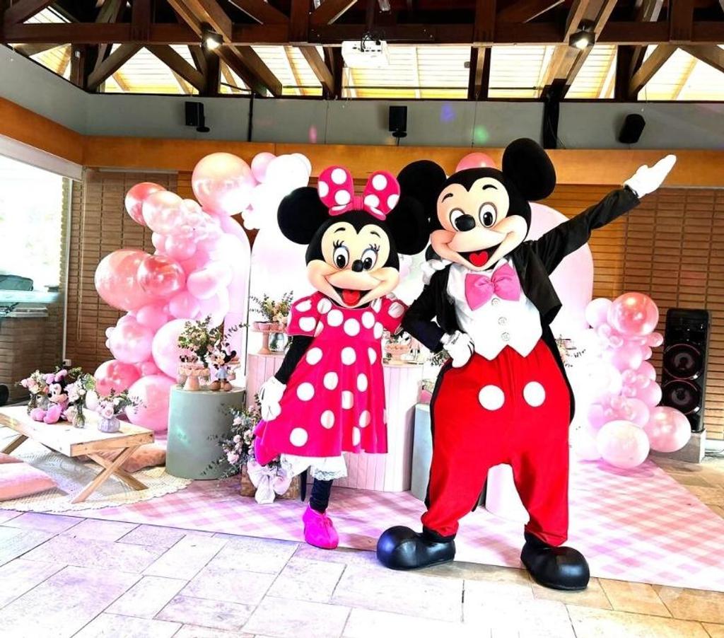 Serviços para eventos Sao Paulo SP Penha, São Paulo - Fotos para Minnie Rosa personagem vivo cover Festa