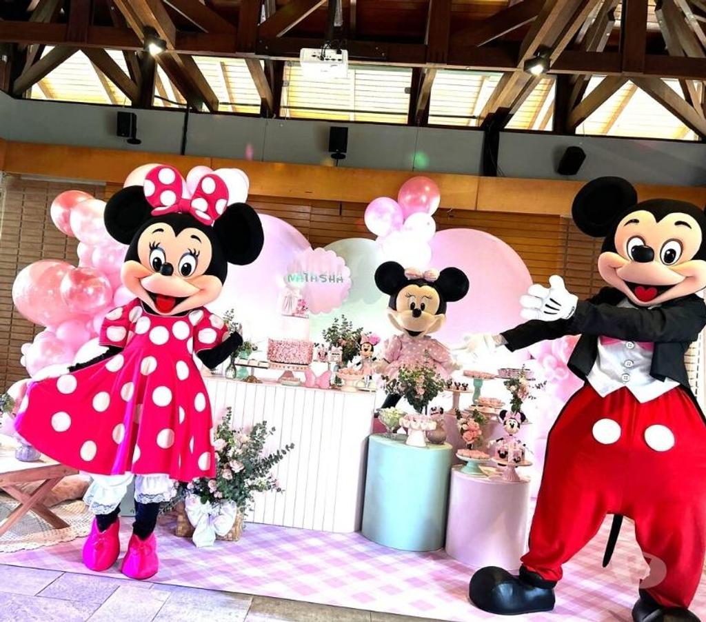 Serviços para eventos Sao Paulo SP Penha, São Paulo - Fotos para Minnie Rosa personagem vivo cover Festa