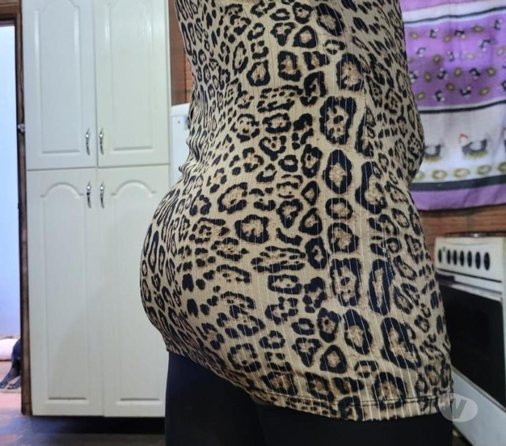 Encontros Casuais Campo Grande MS - Fotos para Jorge cdzinha quero sexo com dotado ou dois sem enrolação