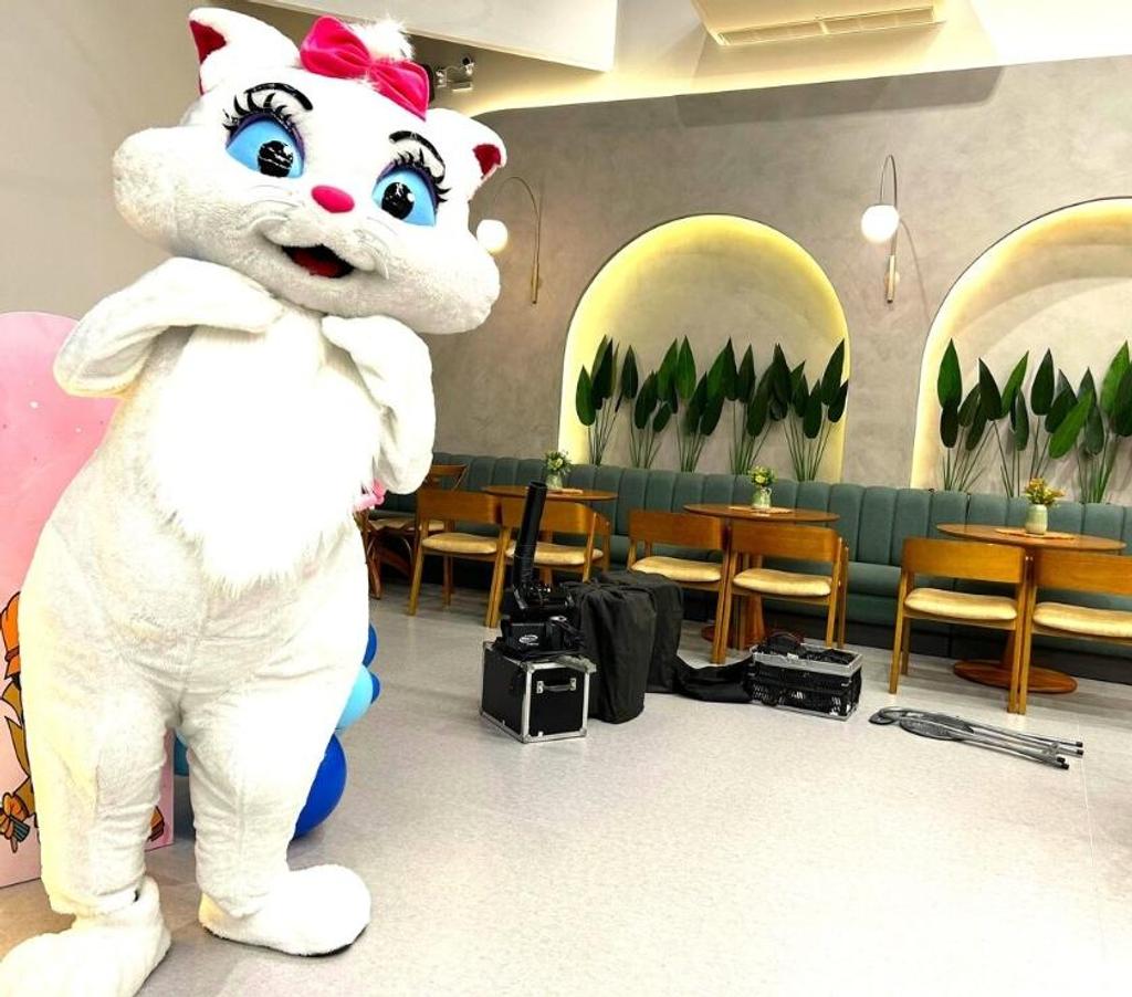 Serviços para eventos Sao Paulo SP Moema - Fotos para Gatinha Marrie personagem vivo cover festa