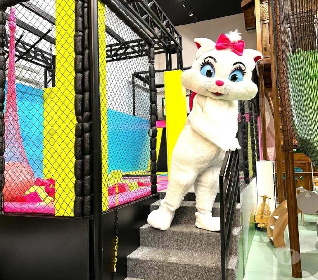 Serviços para eventos Sao Paulo SP Moema - Fotos para Gatinha Marrie personagem vivo cover festa