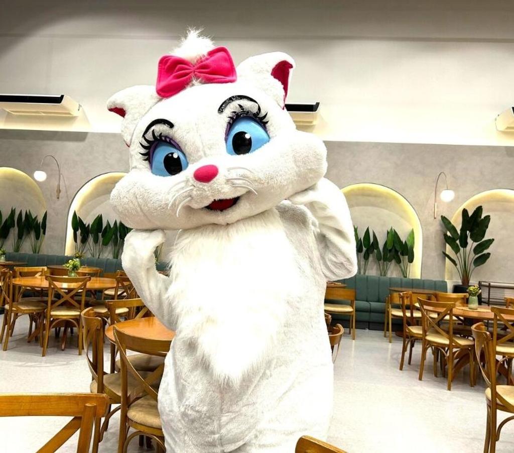 Serviços para eventos Sao Paulo SP Moema - Fotos para Gatinha Marrie personagem vivo cover festa