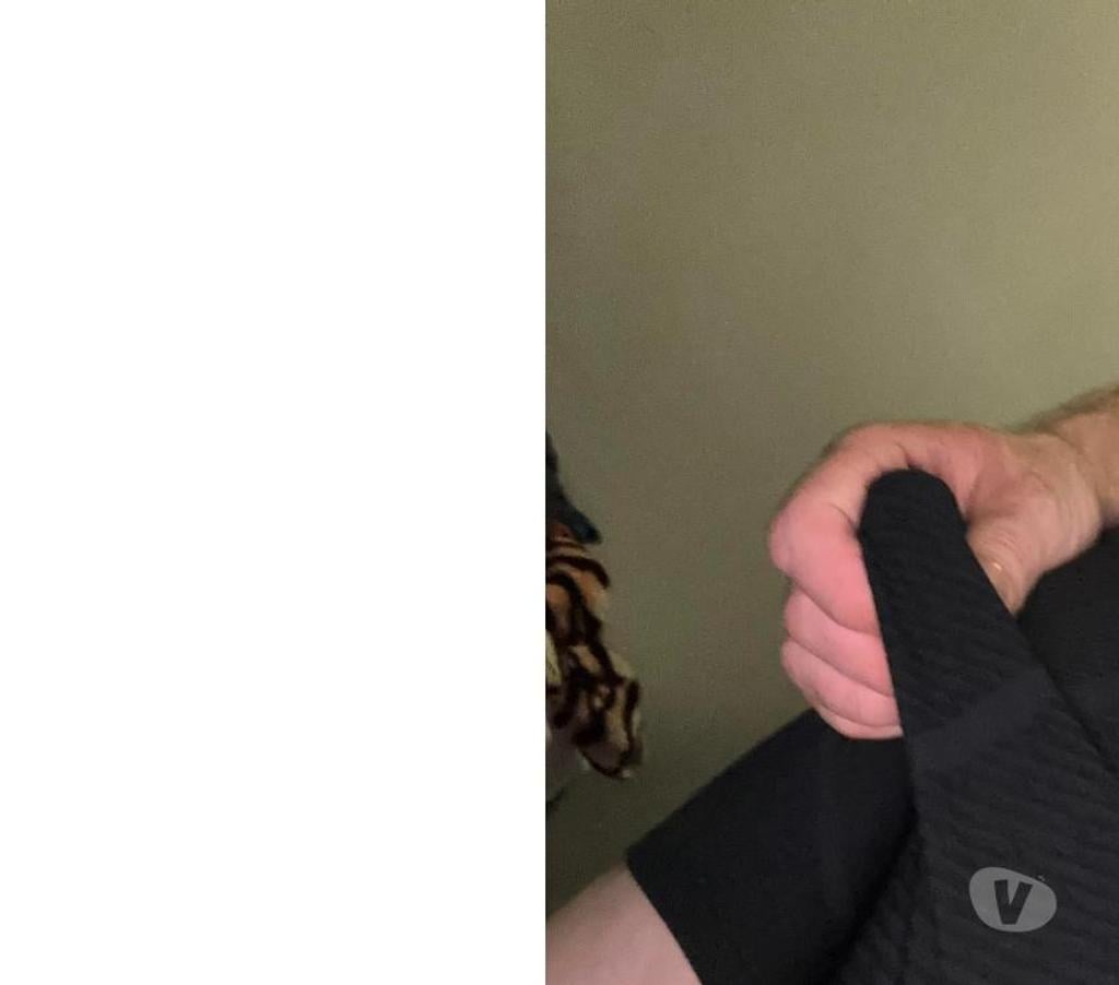 Encontros Casuais Florianopolis SC Florianópolis Outros - Fotos para Sexo casual : Apenas 