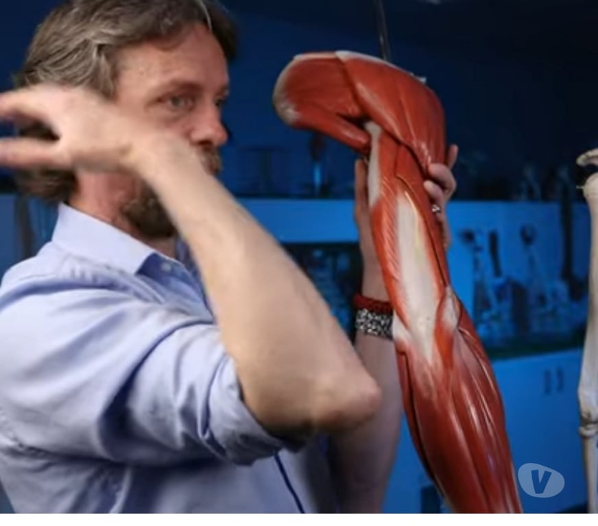 Bem-Estar - Saúde - Beleza Sao Paulo SP Jardim Paulista - Fotos para Massagem relaxante, shiatsu e lliber. Miofáscia