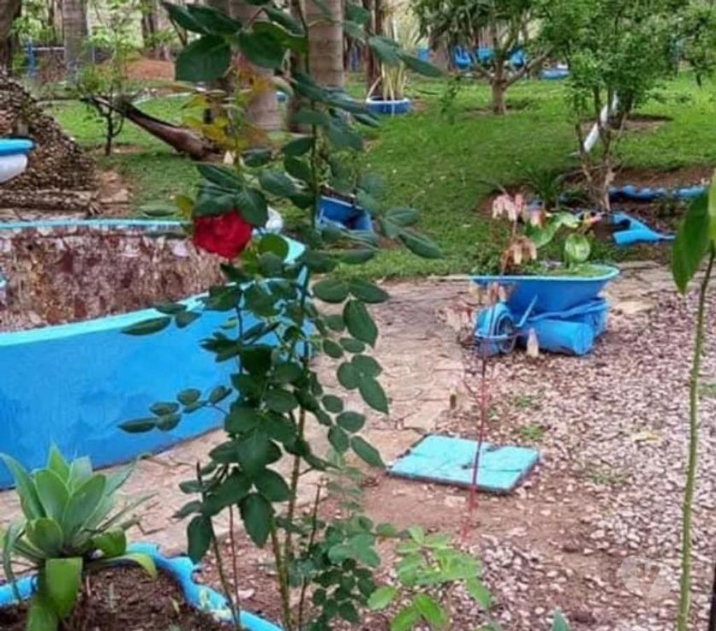 Fazendas - Sitios à venda Lagoinha SP - Fotos para Haras dos sonhos - oportunidade única em Lagoinha -SP