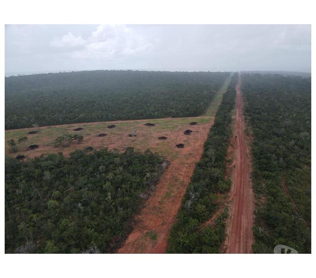 Fazendas - Sitios à venda Barra do Garcas MT - Fotos para Fazenda em Barra do Garças