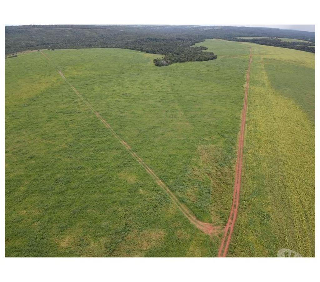 Fazendas - Sitios à venda Barra do Garcas MT - Fotos para Fazenda em Barra do Garças