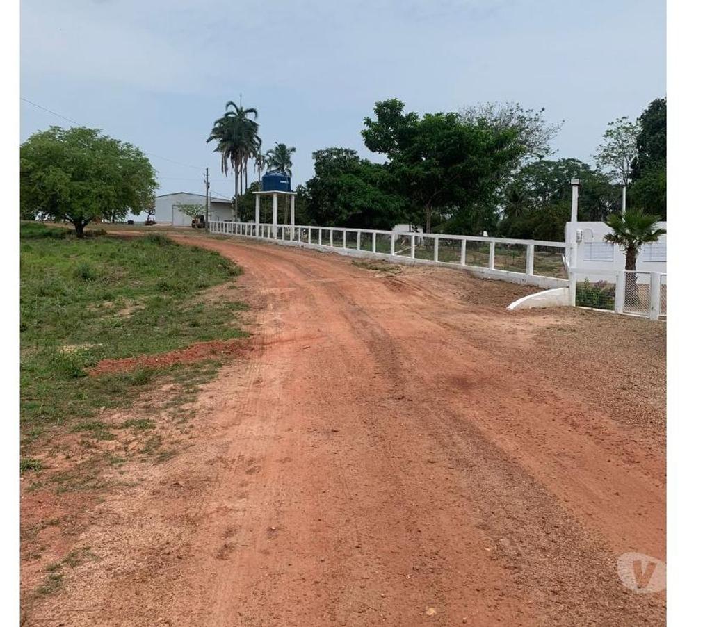 Fazendas - Sitios à venda Barra do Garcas MT - Fotos para Fazenda em Barra do Garças