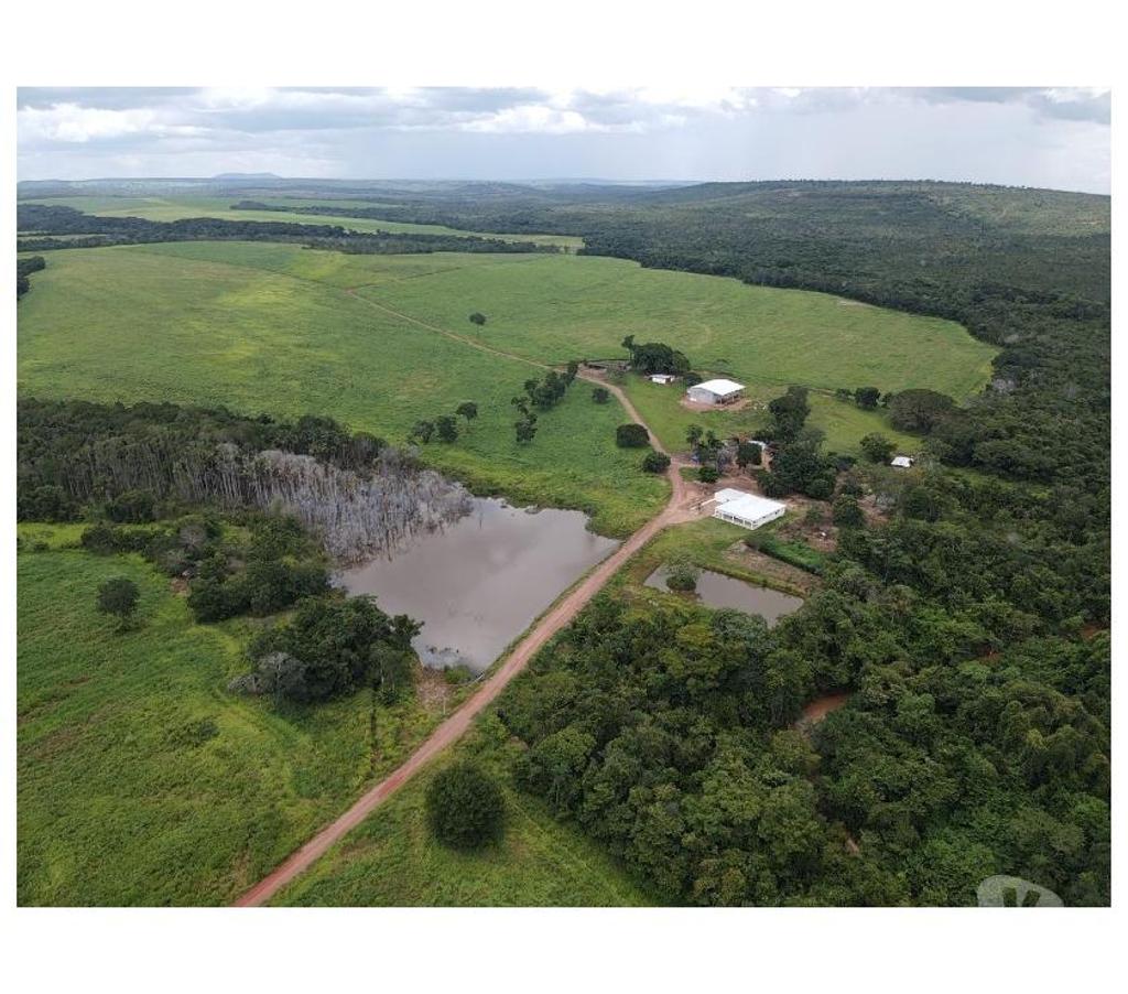 Fazendas - Sitios à venda Barra do Garcas MT - Fotos para Fazenda em Barra do Garças
