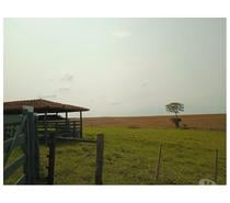 Fazenda em Cana na Região de Lins