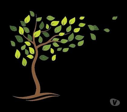 Outros serviços - Fotos para PODAS, SUPRESSÕES DE ARVORES E JARDINAGEM