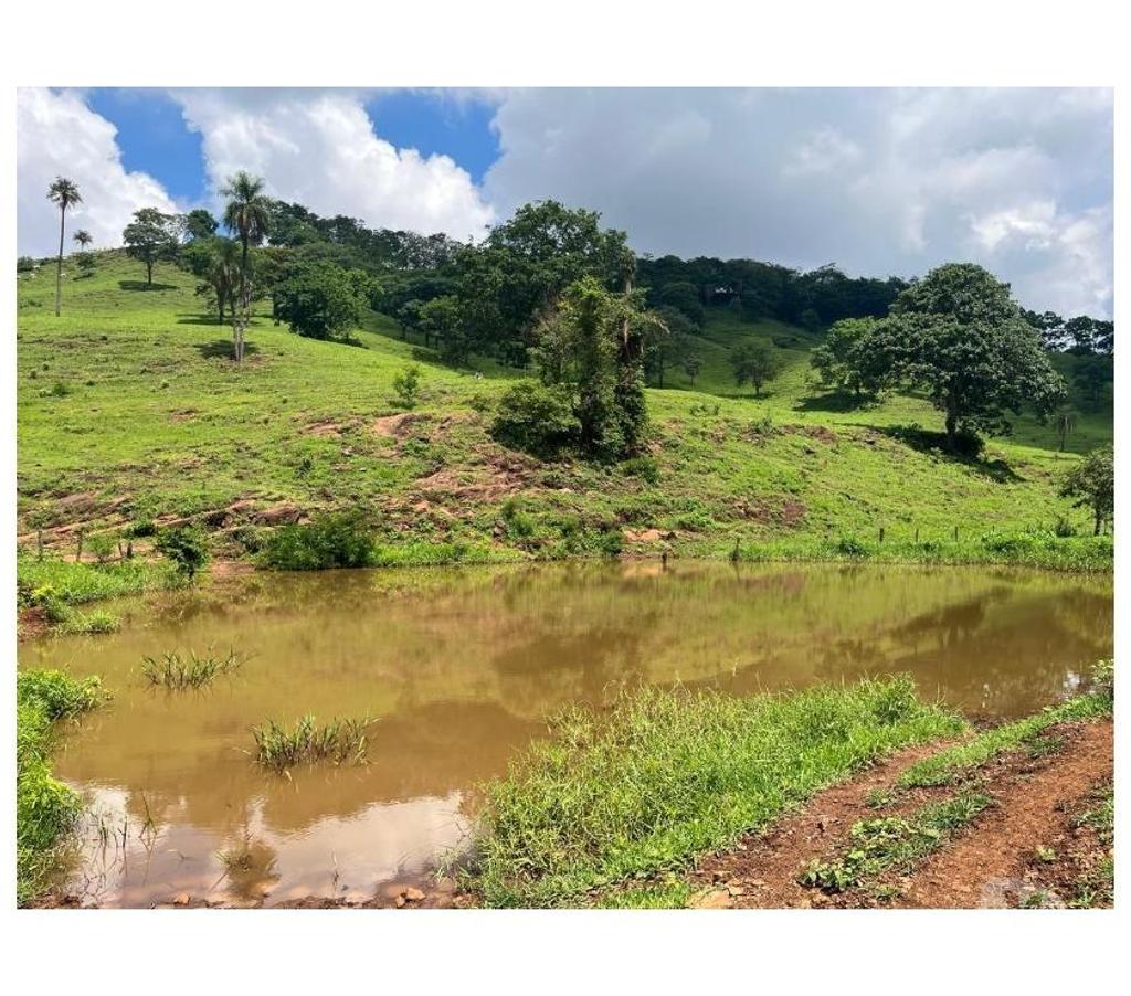 Fazendas - Sitios à venda Ituverava SP - Fotos para FAZENDA REGIÃO DE ITUVERAVA