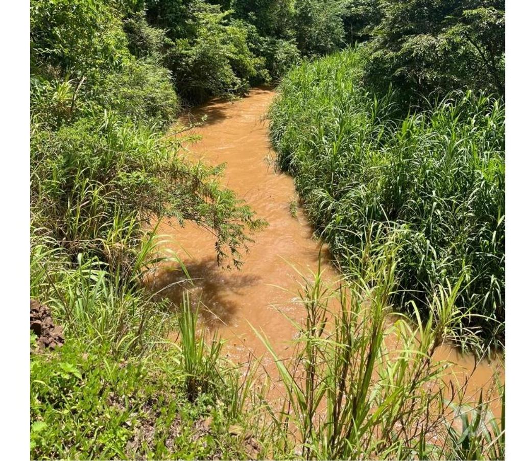 Fazendas - Sitios à venda Ituverava SP - Fotos para FAZENDA REGIÃO DE ITUVERAVA