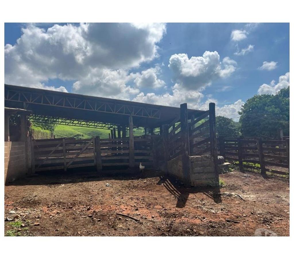 Fazendas - Sitios à venda Ituverava SP - Fotos para FAZENDA REGIÃO DE ITUVERAVA