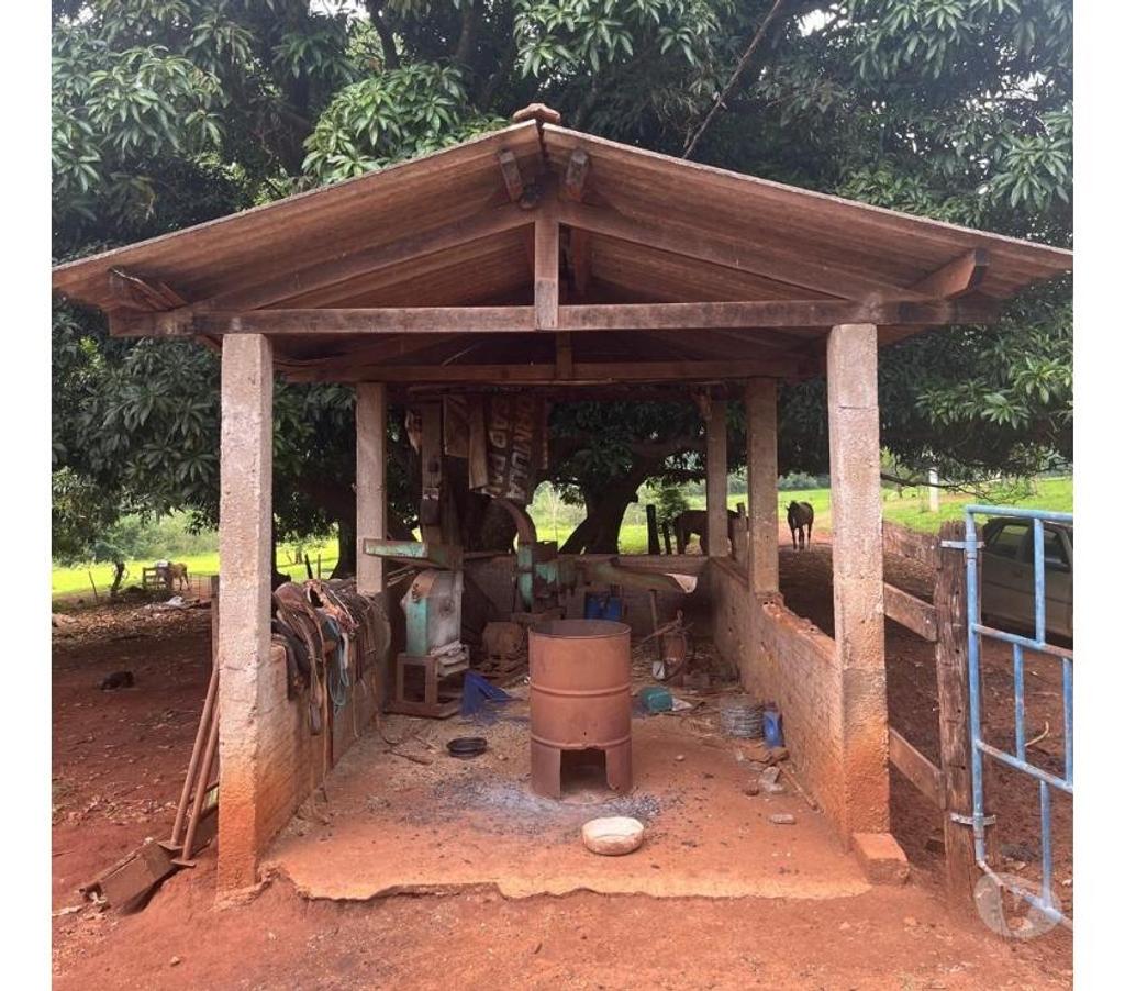 Fazendas - Sitios à venda Ituverava SP - Fotos para FAZENDA REGIÃO DE ITUVERAVA