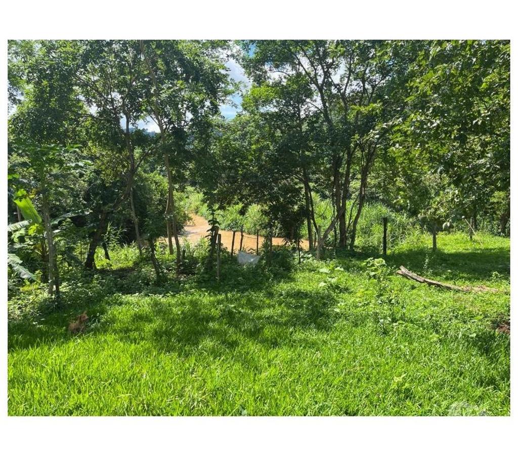 Fazendas - Sitios à venda Ituverava SP - Fotos para FAZENDA REGIÃO DE ITUVERAVA