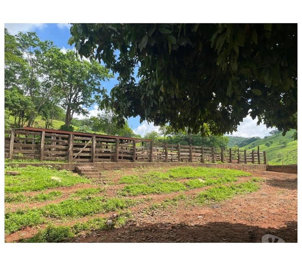 Fazendas - Sitios à venda Ituverava SP - Fotos para FAZENDA REGIÃO DE ITUVERAVA