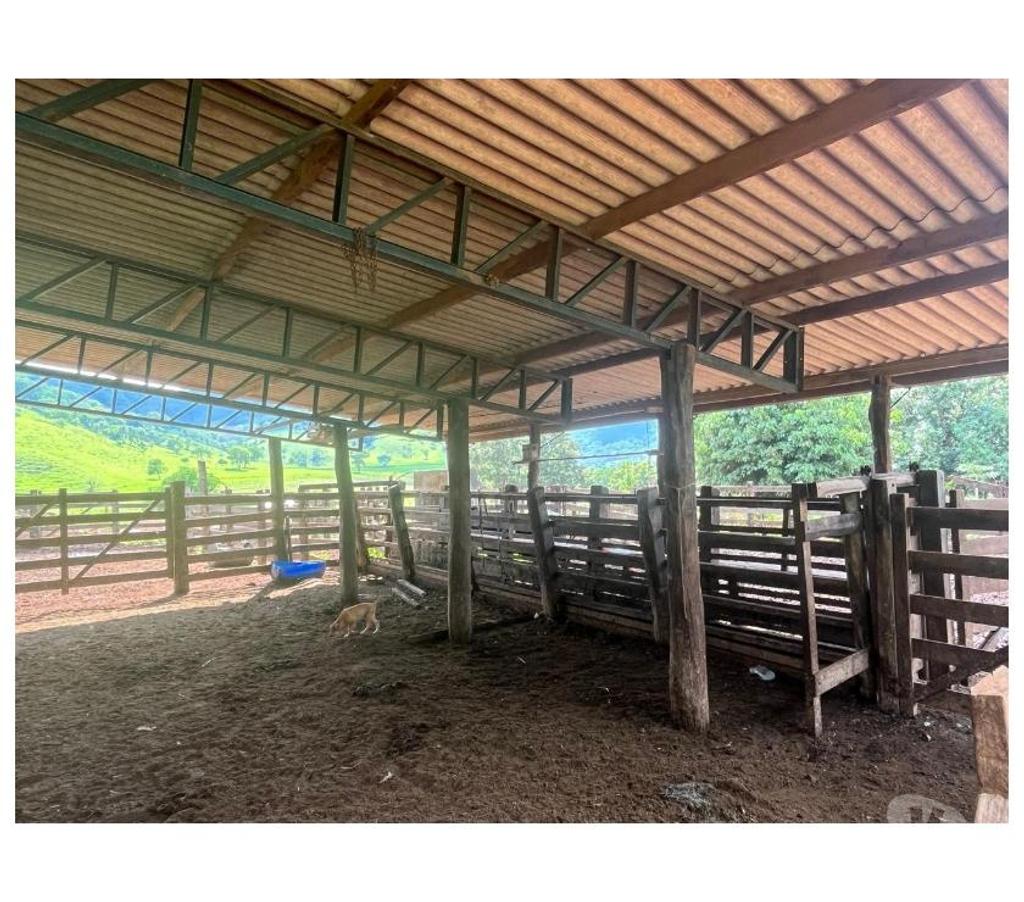 Fazendas - Sitios à venda Ituverava SP - Fotos para FAZENDA REGIÃO DE ITUVERAVA