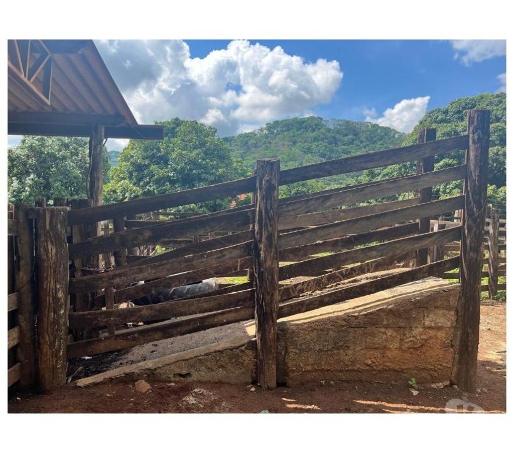 Fazendas - Sitios à venda Ituverava SP - Fotos para FAZENDA REGIÃO DE ITUVERAVA