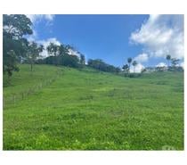 FAZENDA REGIÃO DE ITUVERAVA