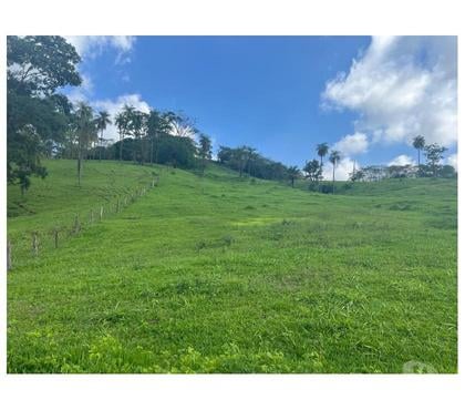 Fazendas - Sitios à venda - Fotos para FAZENDA REGIÃO DE ITUVERAVA