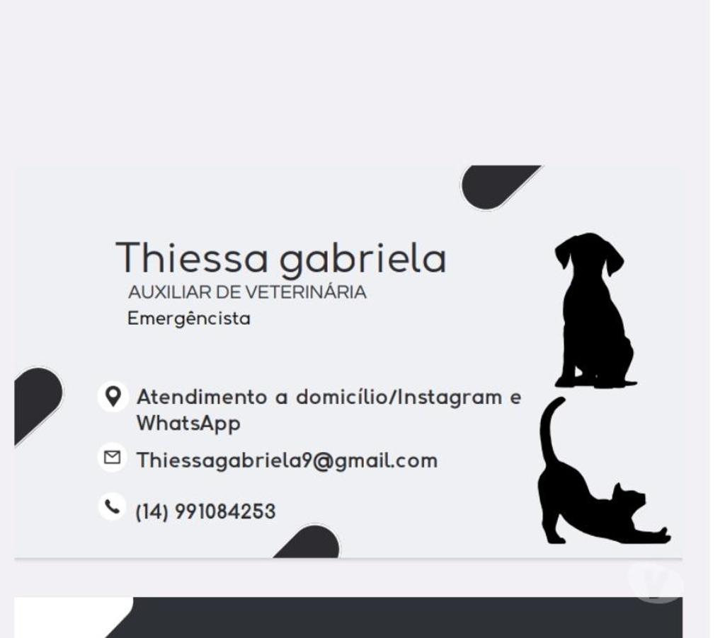 Veterinários - Serviços - Acessórios Botucatu SP - Fotos para Atendimento domiciliar pet