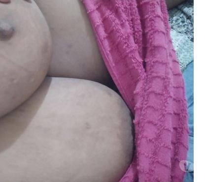 Acompanhantes Macaúba Teresina PI - Fotos para Gordinha peitão