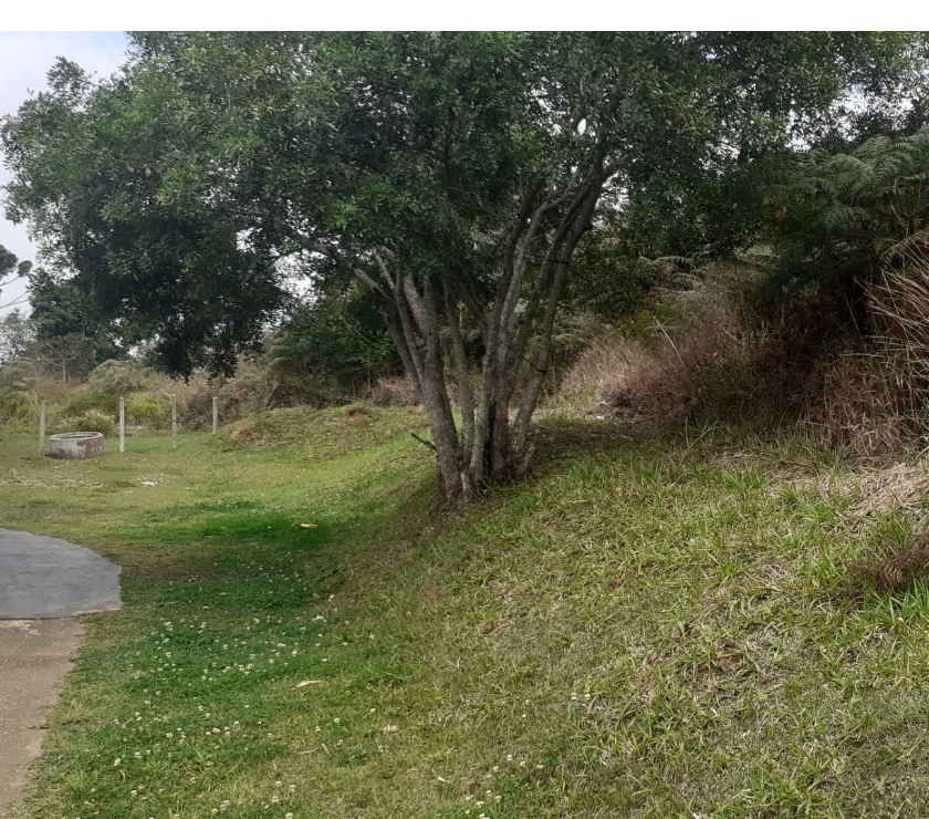 Terrenos Sao Paulo SP Saúde - Fotos para TERRENO 8.200 M2 EM COTIA - VALOR ABAIXO DO MERCADO!!