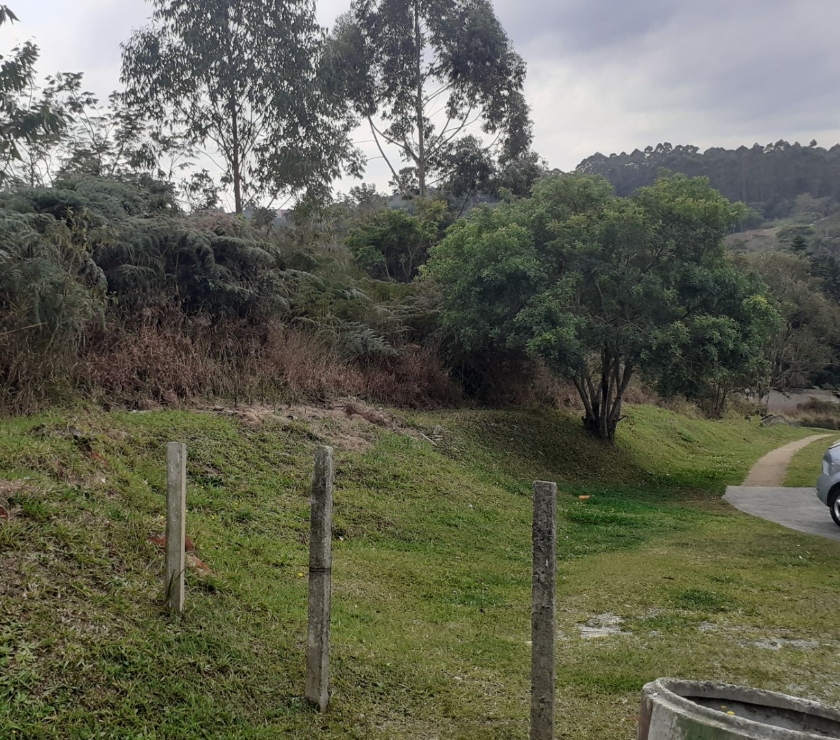Terrenos Sao Paulo SP Saúde - Fotos para TERRENO 8.200 M2 EM COTIA - VALOR ABAIXO DO MERCADO!!