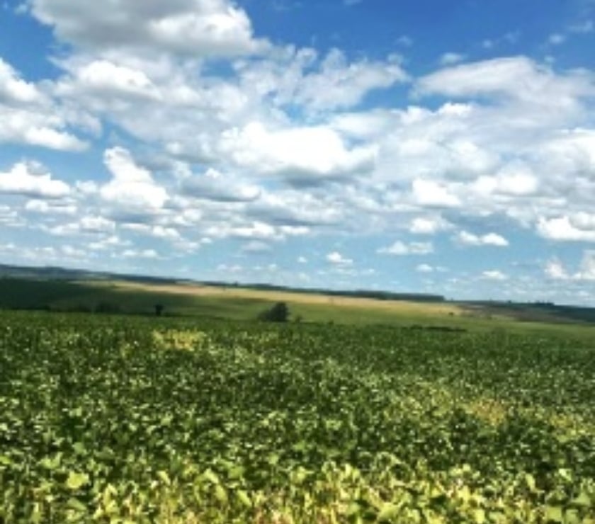 Fazendas - Sitios à venda - Fotos para Fazenda de 450ha Pecuária e Soja em Glorinha RS