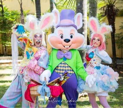Serviços para Eventos Buritis, Belo Horizonte Belo Horizonte MG - Fotos para COELHO DA PÁSCOA PERSONAGEM