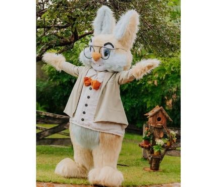 Serviços para Eventos Outros Bairros Belo Horizonte MG Belo Horizonte MG - Fotos para COLEHO D APASCOA