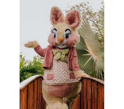 Serviços para Eventos Outros Bairros Belo Horizonte MG Belo Horizonte MG - Fotos para COLEHO DA PASCOA