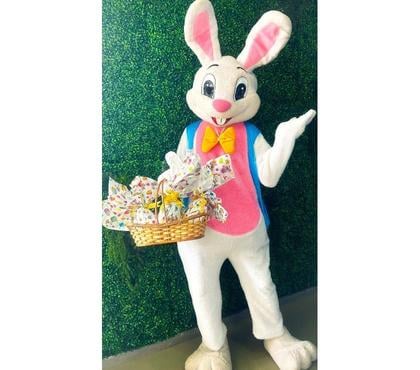 Serviços para Eventos Outros Bairros Belo Horizonte MG Belo Horizonte MG - Fotos para COELHO DA PASCOA