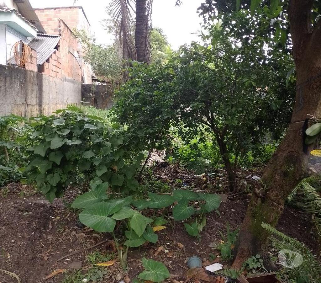 Apartamentos a venda Rio de Janeiro RJ Centro - Fotos para PROPRIEDADE EXELENTE EM CACHOEIRAS DE MACACU