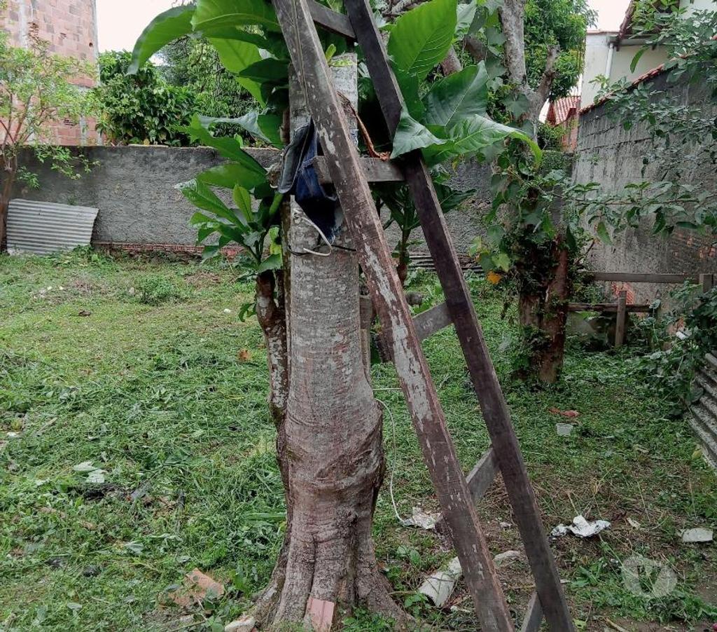 Apartamentos a venda Rio de Janeiro RJ Centro - Fotos para PROPRIEDADE EXELENTE EM CACHOEIRAS DE MACACU