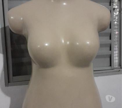 Diversos São Mateus Sao Paulo SP - Fotos para Manequim busto feminino