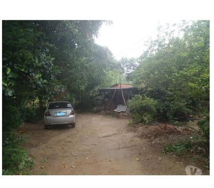 Terrenos - Lotes - Fotos para Mini Sitio com 2.240m² - Cabuçu - Nova IguaçuRJ